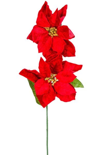 Yılbaşı Çiçeği Puansetya 2 Çiçekli Kırmızı 75 Cm