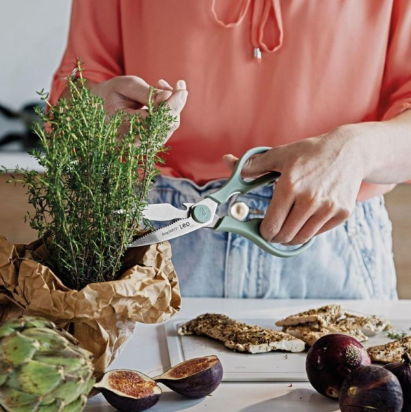 Berghoff Leo Et  Makası