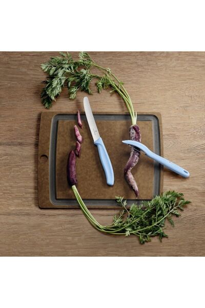 Victorinox 6.7116.21L22 Swiss Classic Trend Colors Soyacak ve Domates Bıçak Seti