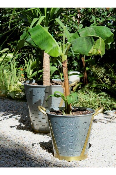 The Mia Galvin Kova 32 cm