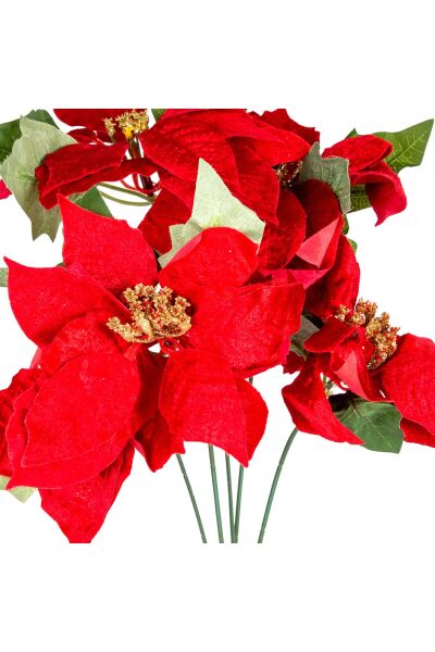 Yılbaşı Çiçeği Puansetya Demet Kırmızı 60 Cm
