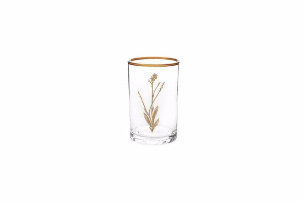 Porland Botanical Mini 3'lü Su Bardağı Tka
