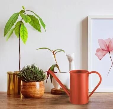 The Mia Sulak 1,5 lt Kırmızı