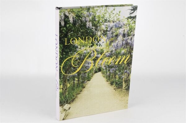 Mikasa Moor London Bloom Kitap Kutu 35x24x3cm