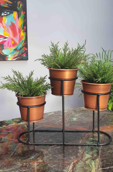 The Mia Saksı 3 Lü Set - Bakır