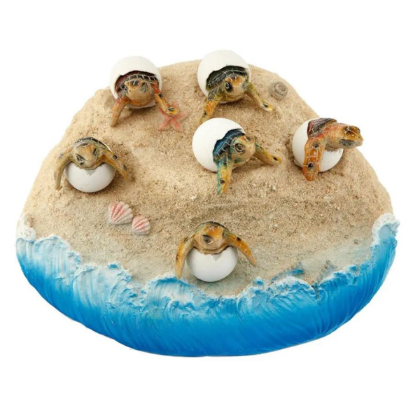 Vitale Pretty Kumda Caretta Caretta