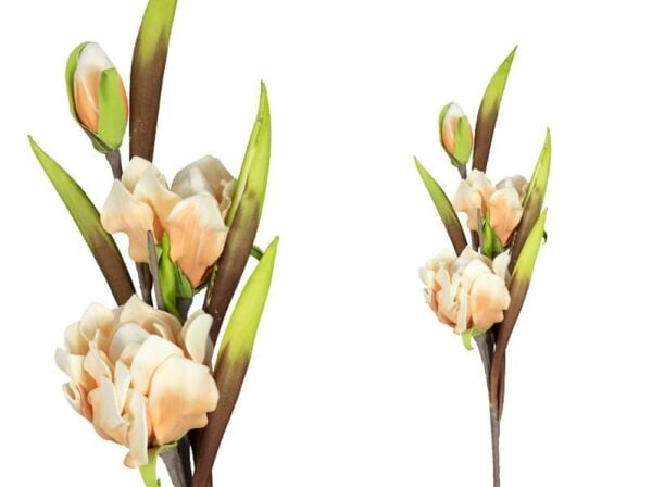 Lamedore Para Çiçeği Turuncu Beyaz 95 Cm