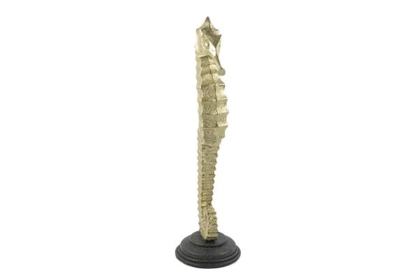 Miksa Moor Biblo Deniz Atı 13X47 cm