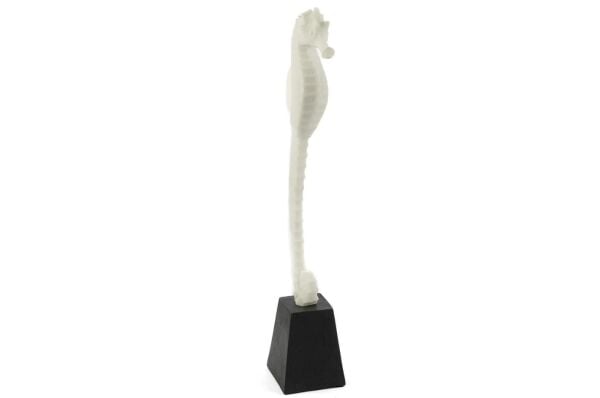 Mikasa Moor Biblo Deniz Atı 13X51 cm