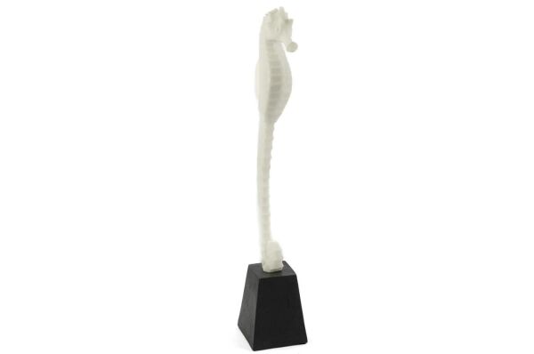 Mikasa Moor Biblo Deniz Atı 13X51 cm