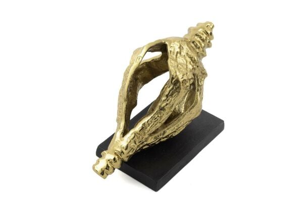 Mikasa Moor Cowry Gold Metal Dekor Obje 25x11x14cm