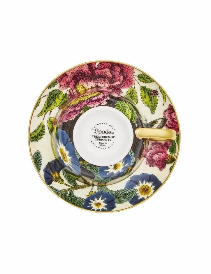 Spode Creatures Of Curiosity Çay Fincan+Tab Siyah&Krem