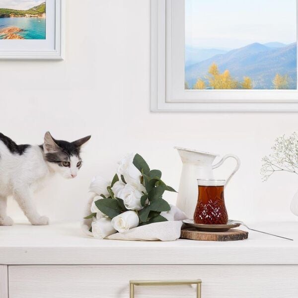 Wanelli Wn0001 Robe Line Çay Takımı 18 Parça