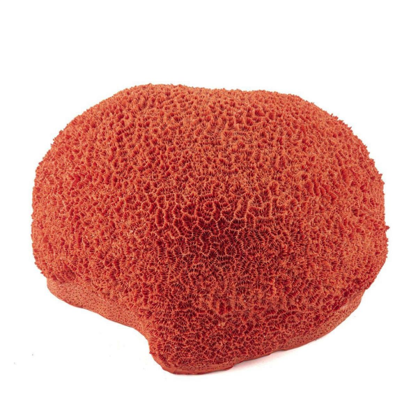 Mikasa Moor Kırmızı Mercan Resin Obje 23x20x12 cm