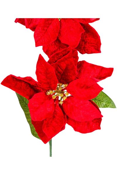 Yılbaşı Çiçeği, Puansetya, Kırmızı   2 Çiçekli, 75 cm