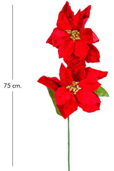 Yılbaşı Çiçeği, Puansetya, Kırmızı   2 Çiçekli, 75 cm