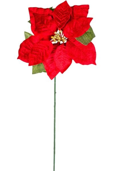 Yılbaşı Çiçeği Puansetya Kırmızı 62 Cm