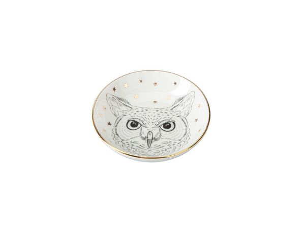 Porland Forest Owl Mini Kase 10cm