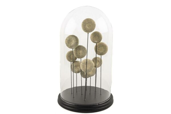 Mikasa Moor Ahşap Standlı İstiridye Yuvarlak Cam Fanus 22x36cm