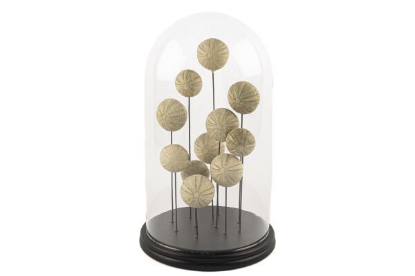 Mikasa Moor Ahşap Standlı İstiridye Yuvarlak Cam Fanus 22x36cm