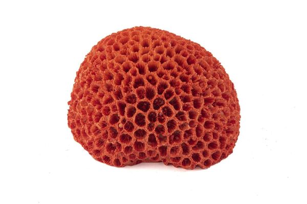 Mikasa Moor Kırmızı Mercan Resin Obje 15x14x9 cm