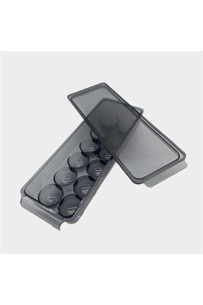 Leggno PTC6060EGG12 Şeffaf Gri 12'li Yumurta Saklama Kabı