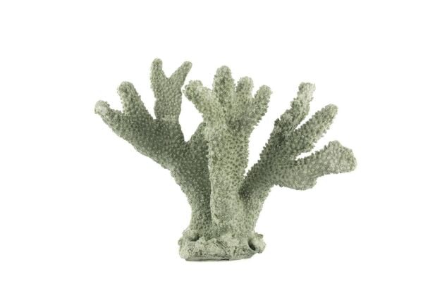 Mikasa Moor Yeşil Mercan 18x20cm