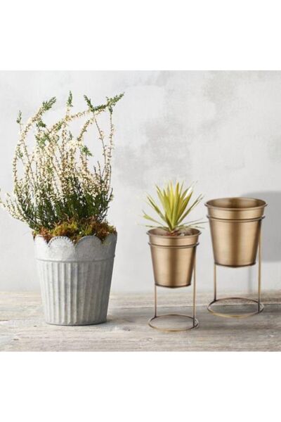 The Mia Çiçeklik Ayaklı Gold 21 cm