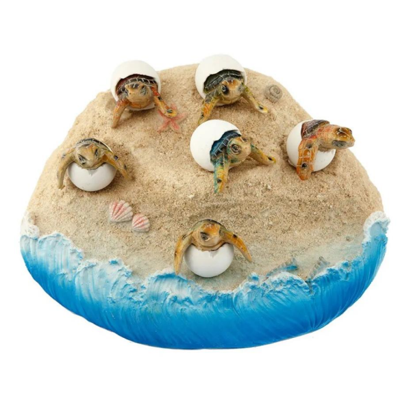 Vitale Pretty Kumda Caretta Caretta