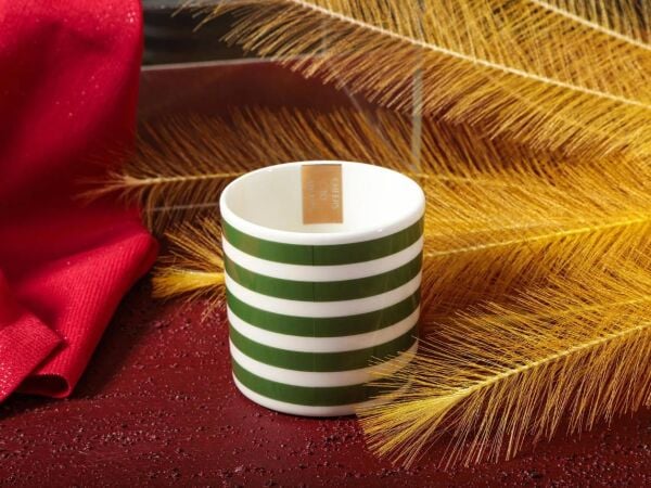 Porland Funky Green Bardak 230cc