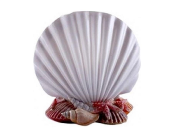 Primanova D-14462 İnci Diş Fırçalık