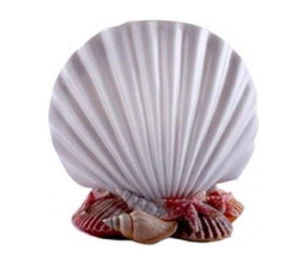 Primanova D-14462 İnci Diş Fırçalık