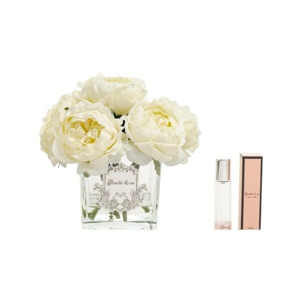 Guerli&Co 7 li Krem Şakayık Kare Cam Gümüş Logo