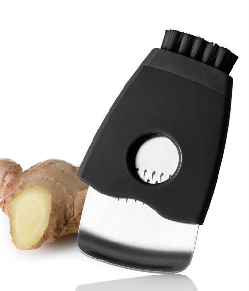 Adhoc Zenzero Zencefil Rendesi