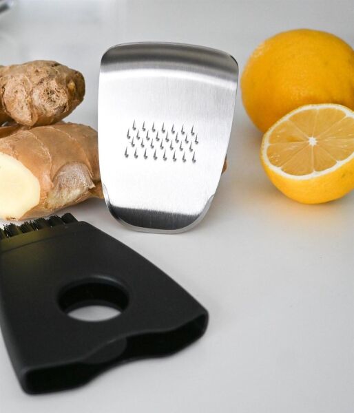 Adhoc Zenzero Zencefil Rendesi