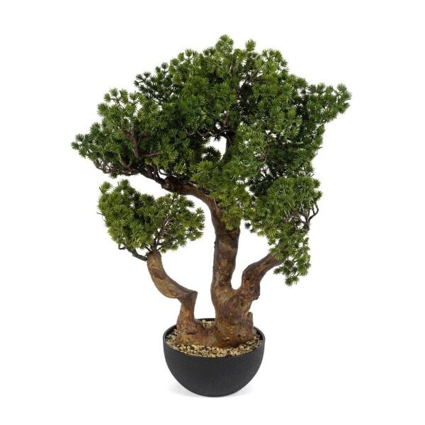 Mikasa Moor Pinus Bonsai Yapay Ağaç 75cm