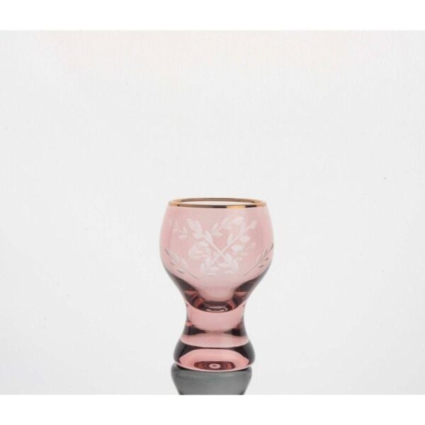 Mikasa Moor Molly 6lı Renkli Asorti Shot Bardak