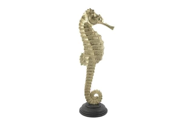 Miksa Moor Biblo Deniz Atı 13X47 cm