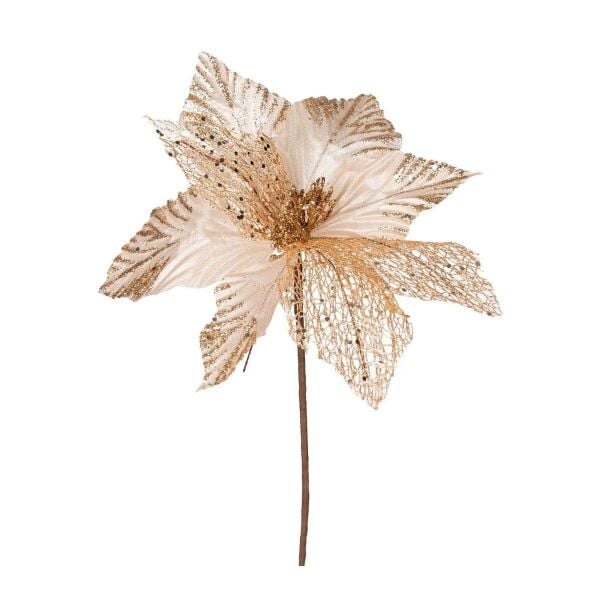 Yılbaşı Çiçeği Şampanya 30 Cm.