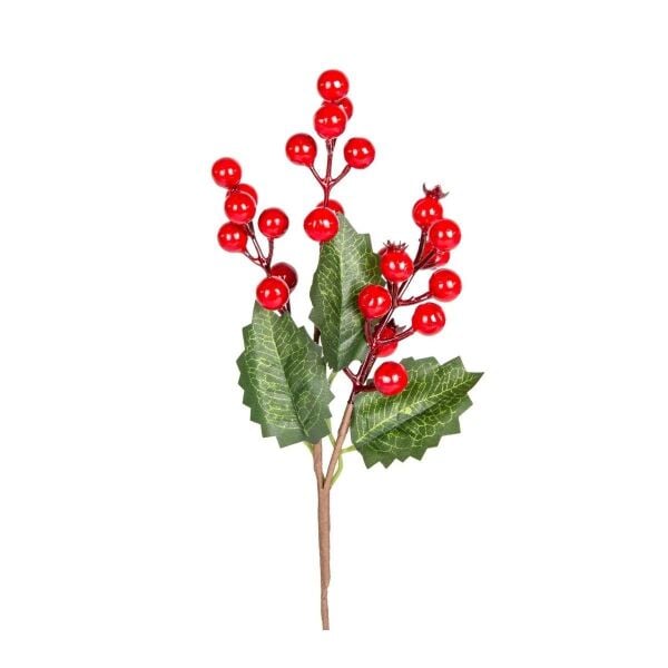 Yılbaşı Çiçeği, Pike, Berry, Kırmızı Yeşil