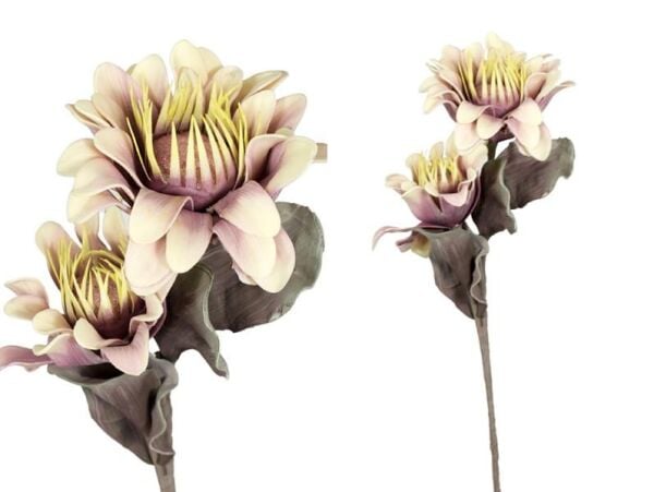 Lamedore Günebakan Sarı Mor 90 Cm