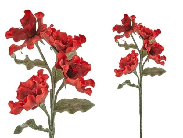 Lamedore Kokoş Çiçeği Kırmızı 100 Cm