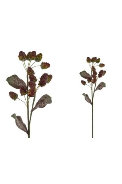 Lamedore Dut Çiçeği Yeşil Pembe 90 Cm