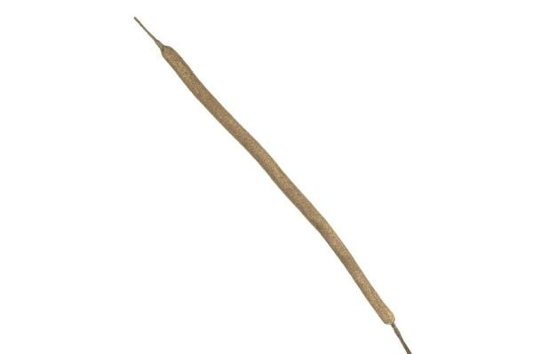 Mikasa Moor Kahverengi Su Kamışı Yapay Çiçek